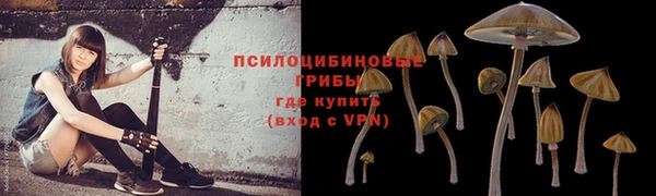 МДМА Коряжма